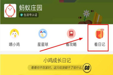 支付寶螞蟻莊園小雞信息如何修改？支付寶螞蟻莊園小雞信息修改攻略介紹！