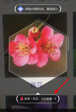 支付寶AR識(shí)花怎么用 支付寶AR識(shí)花玩法教程