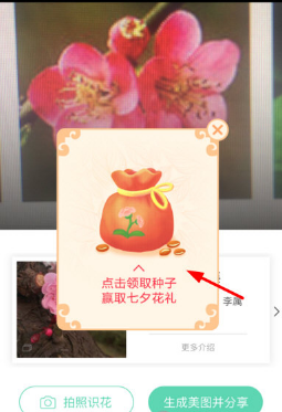 支付寶AR識(shí)花怎么用 支付寶AR識(shí)花玩法教程