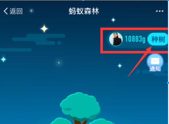 支付寶螞蟻森林環(huán)保證書如何領(lǐng)取？螞蟻森林環(huán)保證書領(lǐng)取攻略介紹！