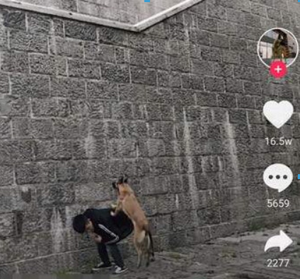 抖音漫畫光頭和尚特效如何拍攝？ 很火的光頭和尚拍攝教程解答！