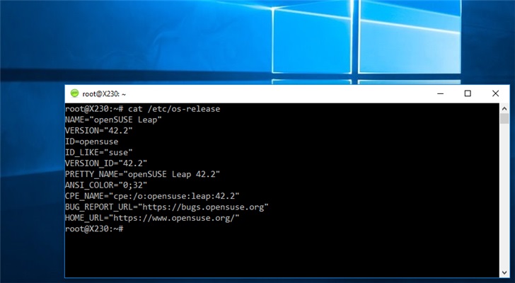 Linux GUI應(yīng)用可在Win10系統(tǒng)運(yùn)行 任何人都能夠使用
