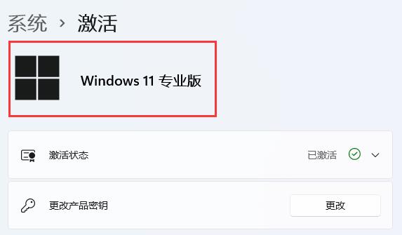 win11安裝時(shí)無法選擇專業(yè)版