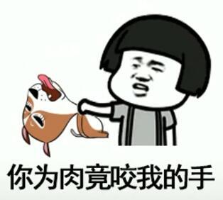 抖音我在那小區(qū)遛狗是什么歌？