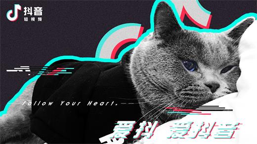 抖音木小雅幻夢在哪里聽？木小雅幻夢歌曲分享