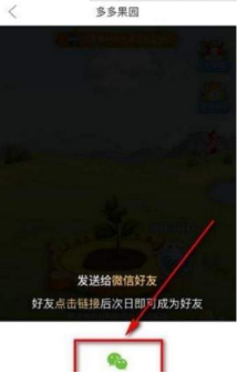 多多果園要怎么添加好友？多多果園添加微信好友教程分享