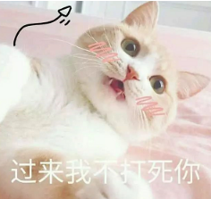 抖音喵喵喵貓咪表情包高清無(wú)水印圖片分享!