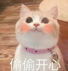 抖音喵喵喵貓咪表情包高清無(wú)水印圖片分享!