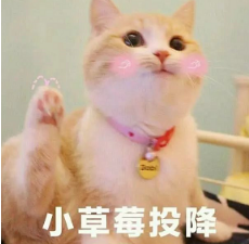 抖音喵喵喵貓咪表情包高清無(wú)水印圖片分享!