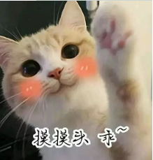 抖音喵喵喵貓咪表情包高清無(wú)水印圖片分享!