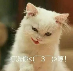 抖音喵喵喵貓咪表情包高清無(wú)水印圖片分享!