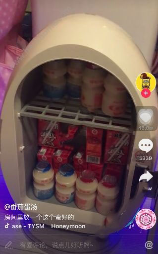 抖音迷你冰箱叫什么？在哪里能賣