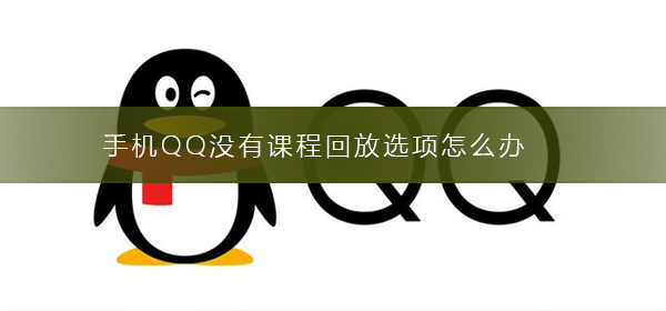 手機(jī)QQ沒有課程回放選項(xiàng)怎么辦