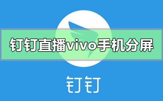釘釘直播vivo手機(jī)怎么分屏