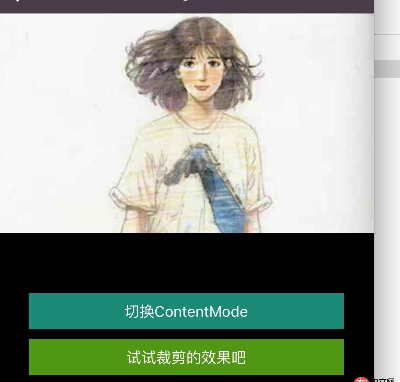 objective-c - SDWebImage加載的網絡圖片，如何調整顯示圖片的尺寸