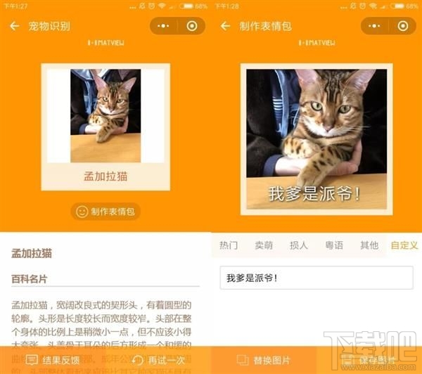吸貓微信小程序推薦，人貓交流器讓你家寵物更軟萌可愛