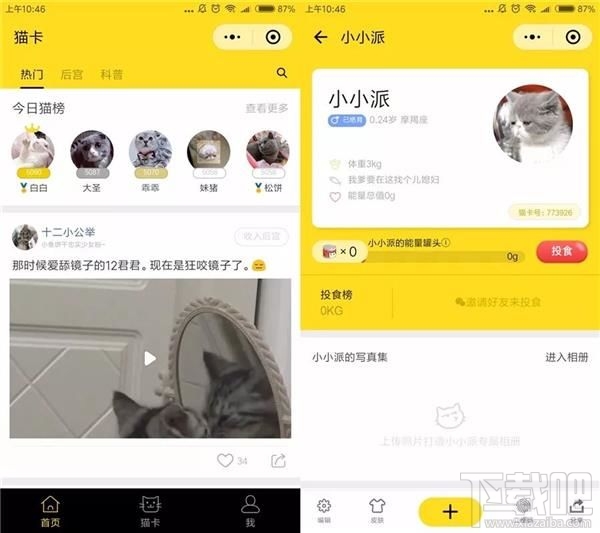 吸貓微信小程序推薦，人貓交流器讓你家寵物更軟萌可愛