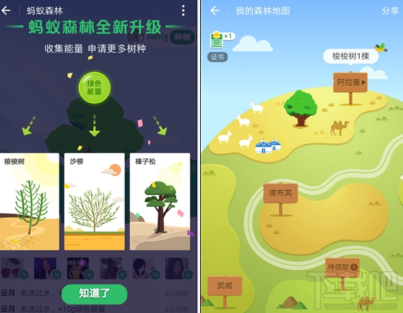 支付寶螞蟻森林新增沙柳/樟子松需要多少能量？