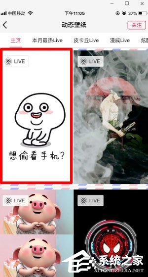 動態壁紙精靈APP怎么設置手機壁紙？