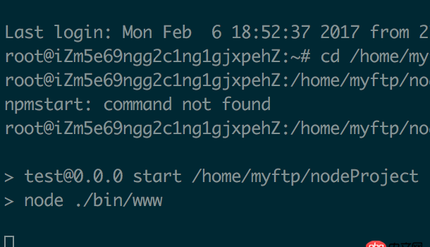 node.js - 終端 遠程連接服務器，終端關閉后，服務器無法運行