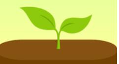 forest如何更改標簽？更改標簽的步驟分享