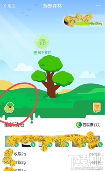 螞蟻森林模擬地圖從哪進(jìn)？