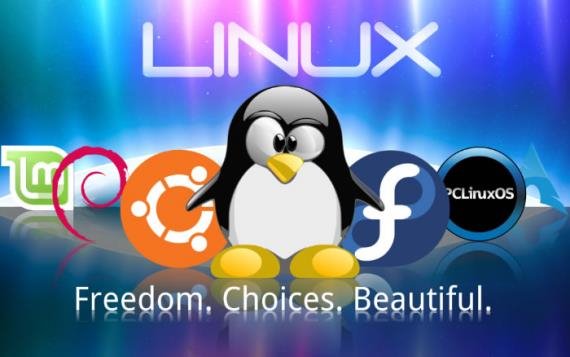 為什么高手離不開Linux系統？