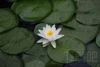 snapseed怎么修圖教程，snapseed手機(jī)版使用教程