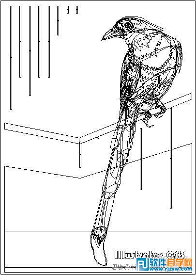 IllustratorCS6用色階畫法精細(xì)設(shè)計(jì)鳥類插畫