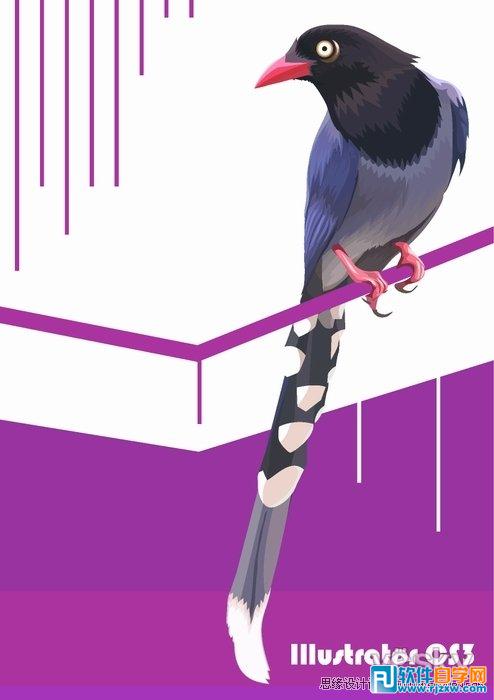 IllustratorCS6用色階畫法精細(xì)設(shè)計(jì)鳥類插畫