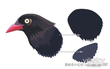 IllustratorCS6用色階畫法精細(xì)設(shè)計(jì)鳥類插畫