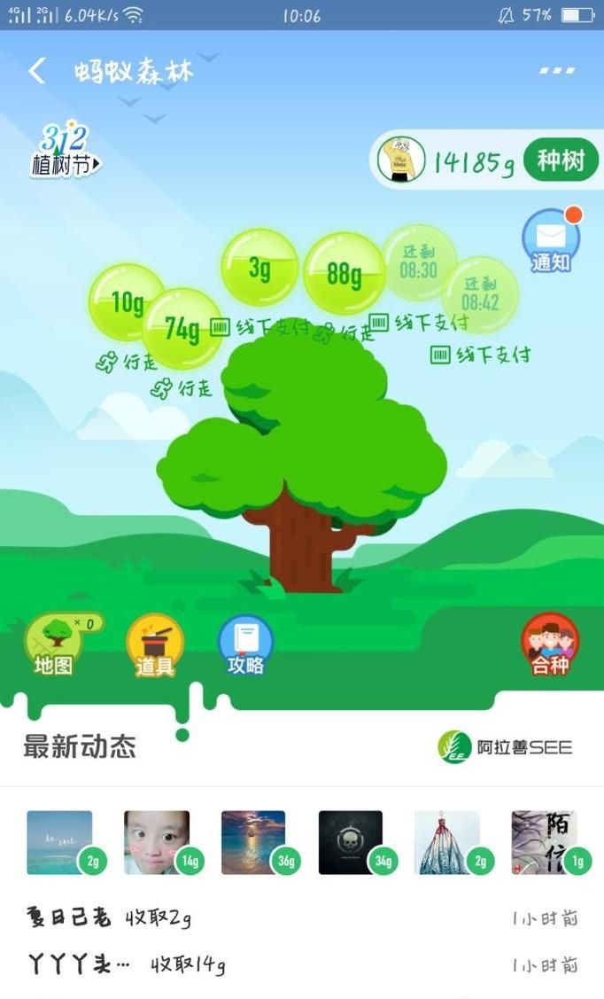 支付寶螞蟻森林大樹(shù)養(yǎng)成了如何領(lǐng)取種苗